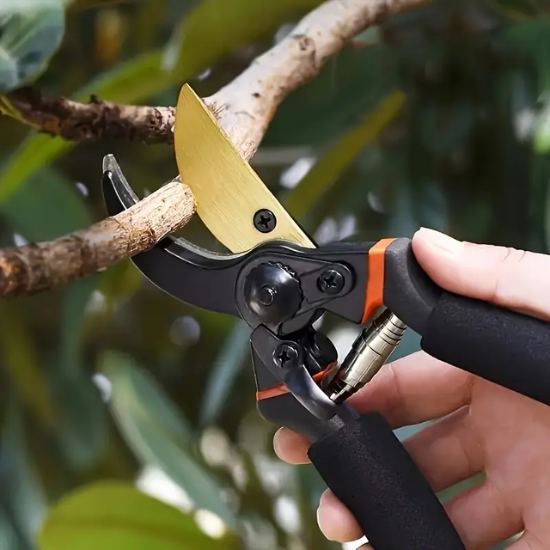 Tijeras de podar profesionales premium de titanio de 8" (GPPS-1003)