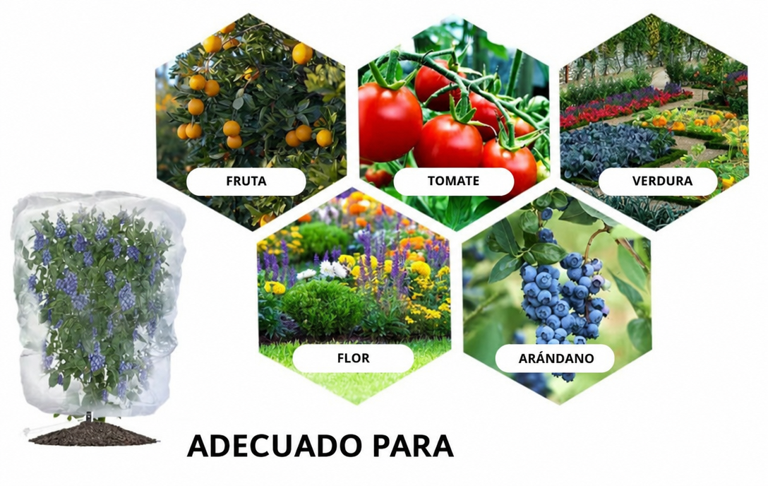 70% DE DESCUENTO | Bolsas de Malla Transpirables y Reutilizables para Proteger Frutas y Verduras – Protección contra Insectos, Moscas de la Fruta y Pájaros