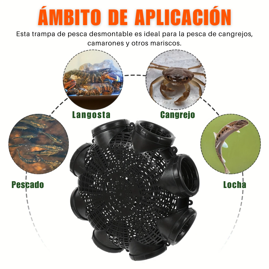 Jaula de pesca de nuevo estilo con 8 agujeros