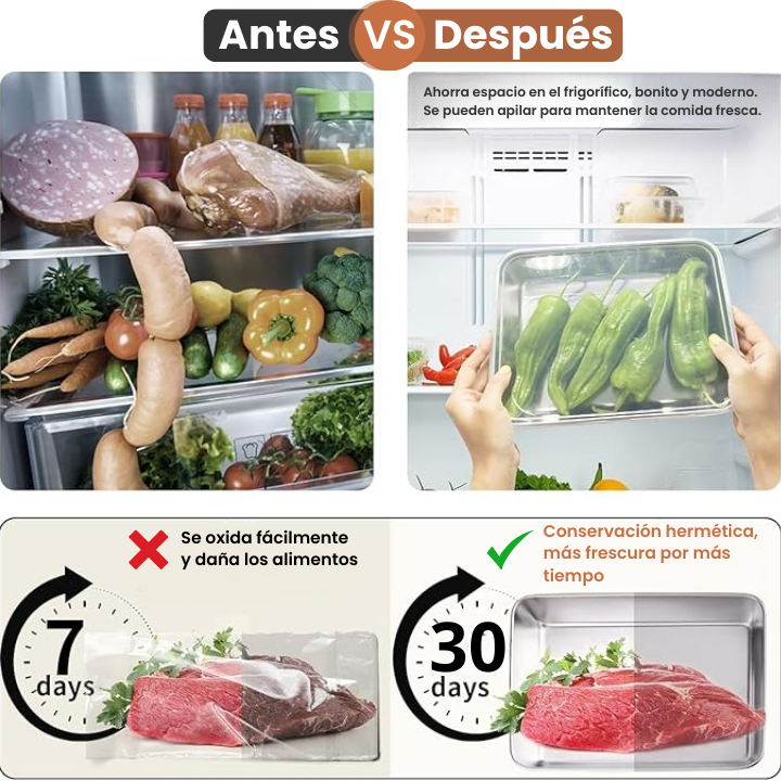Cajas para alimentos de acero inoxidable 304 (25 x 19,5 x 5 cm) (TT)