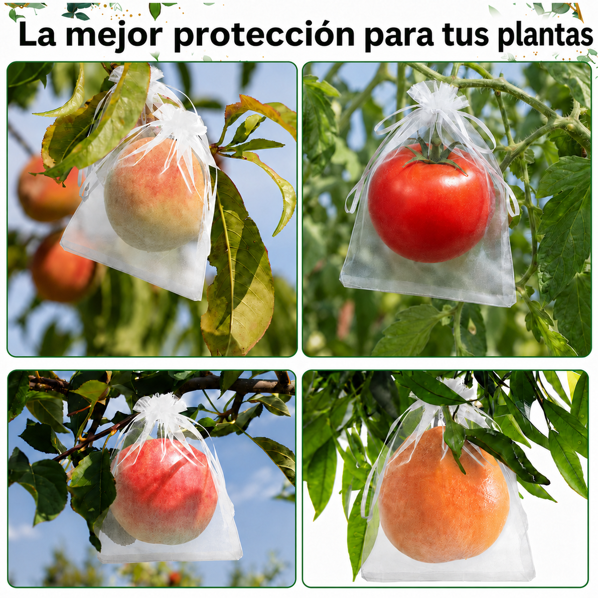 70% DE DESCUENTO | BOLSAS DE MALLA REUTILIZABLES PARA PROTEGER FRUTAS Y VERDURAS