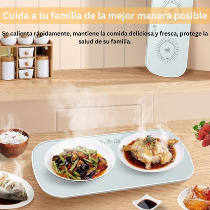 Riscaldatore per alimenti, scongelatore per alimenti, essiccatore per alimenti