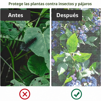 70% DE DESCUENTO | Bolsas de Malla Transpirables y Reutilizables para Proteger Frutas y Verduras – Protección contra Insectos, Moscas de la Fruta y Pájaros