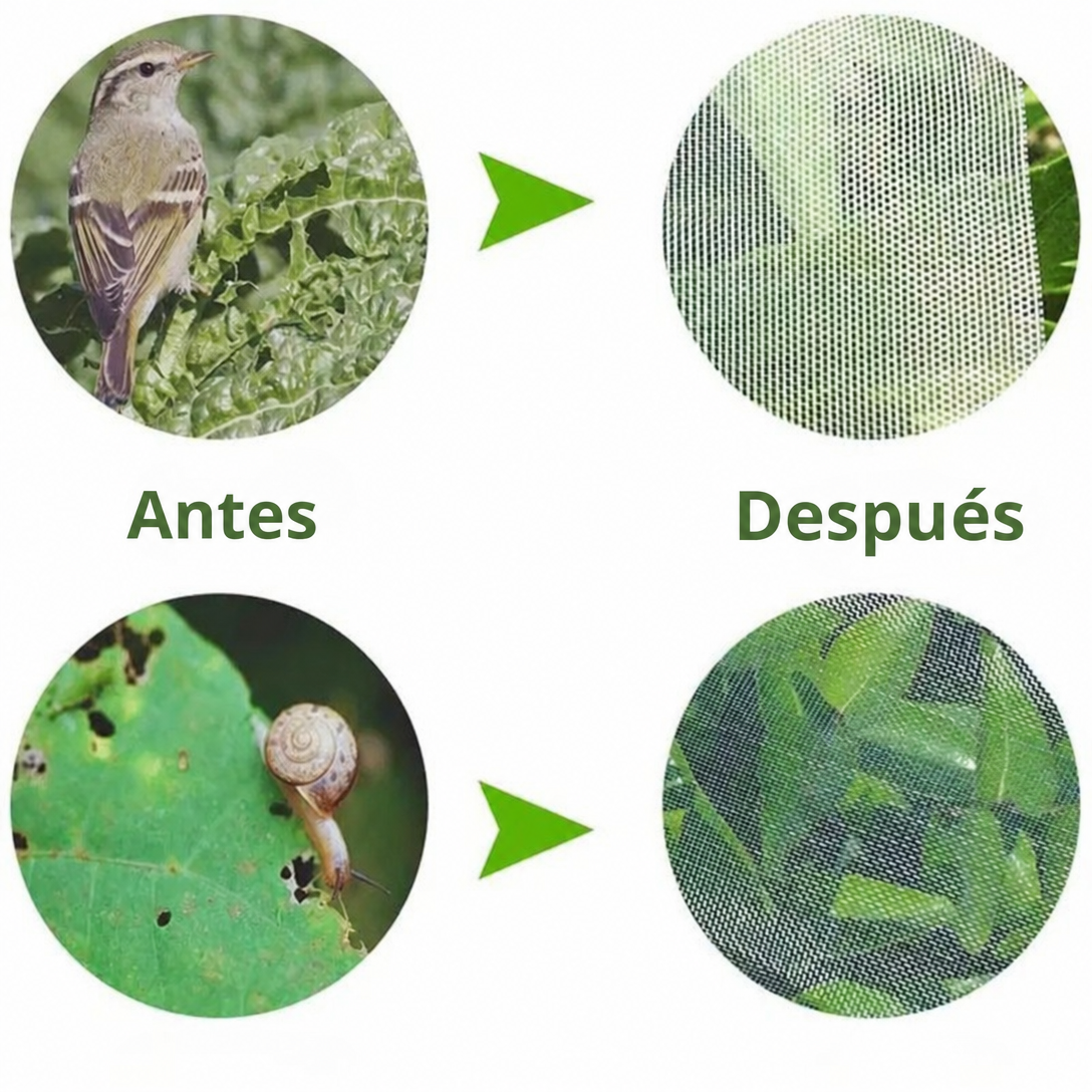 70% DE DESCUENTO | Bolsas de Malla Transpirables y Reutilizables para Proteger Frutas y Verduras – Protección contra Insectos, Moscas de la Fruta y Pájaros