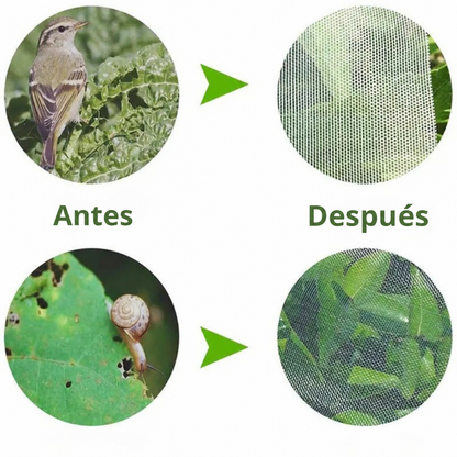 70% DE DESCUENTO | Bolsas de Malla Transpirables y Reutilizables para Proteger Frutas y Verduras – Protección contra Insectos, Moscas de la Fruta y Pájaros
