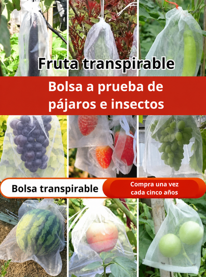 70% DE DESCUENTO | BOLSAS DE MALLA REUTILIZABLES PARA PROTEGER FRUTAS Y VERDURAS