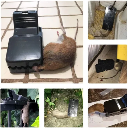 BestSeller™ – Trampa de Presión para Ratones – Trampa Robusta y de Alta Resistencia