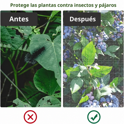 70% DE DESCUENTO | BOLSAS DE MALLA REUTILIZABLES PARA PROTEGER FRUTAS Y VERDURAS