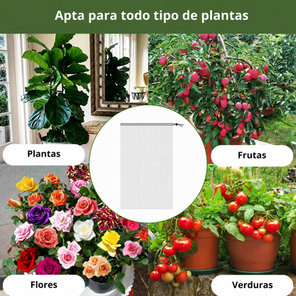 70% DE DESCUENTO | BOLSAS DE MALLA REUTILIZABLES PARA PROTEGER FRUTAS Y VERDURAS