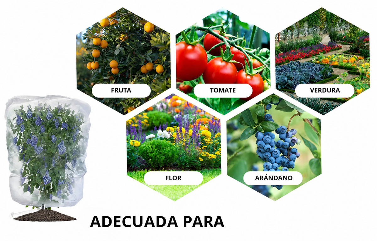 70% DE DESCUENTO | BOLSAS DE MALLA REUTILIZABLES PARA PROTEGER FRUTAS Y VERDURAS