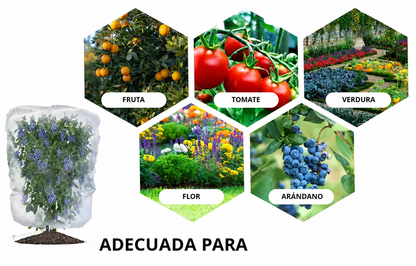70% DE DESCUENTO | BOLSAS DE MALLA REUTILIZABLES PARA PROTEGER FRUTAS Y VERDURAS