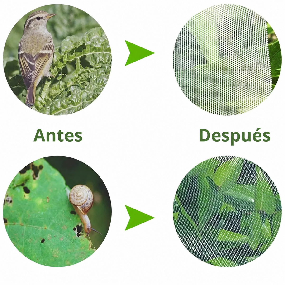70% DE DESCUENTO | BOLSAS DE MALLA REUTILIZABLES PARA PROTEGER FRUTAS Y VERDURAS