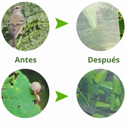 70% DE DESCUENTO | BOLSAS DE MALLA REUTILIZABLES PARA PROTEGER FRUTAS Y VERDURAS