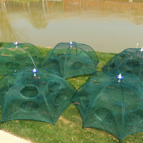 Apanhar Peixes Sem Esforço - A Melhor Gaiola De Rede De Pesca! (L)