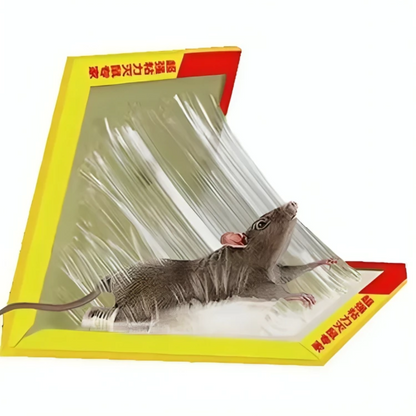 Trampas Adhesivas Profesionales – Extra Grandes para Atrapar Más Rápido