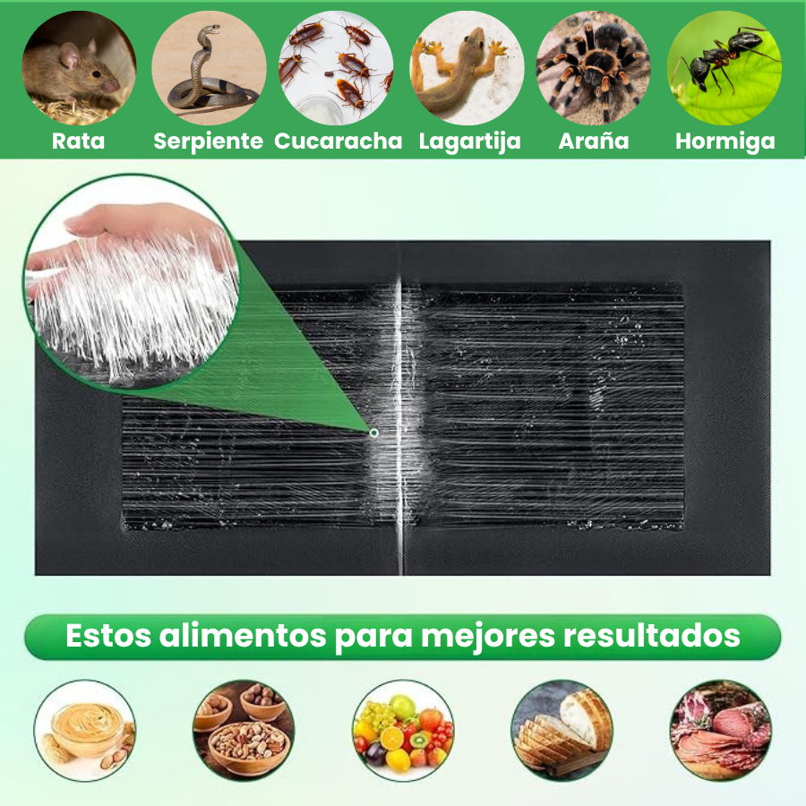 Trampas Adhesivas Profesionales – Extra Grandes para Atrapar Más Rápido