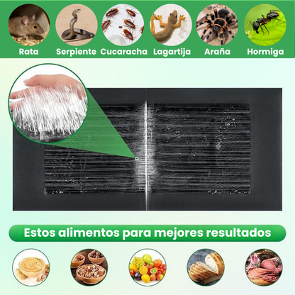 Trampas Adhesivas Profesionales – Extra Grandes para Atrapar Más Rápido