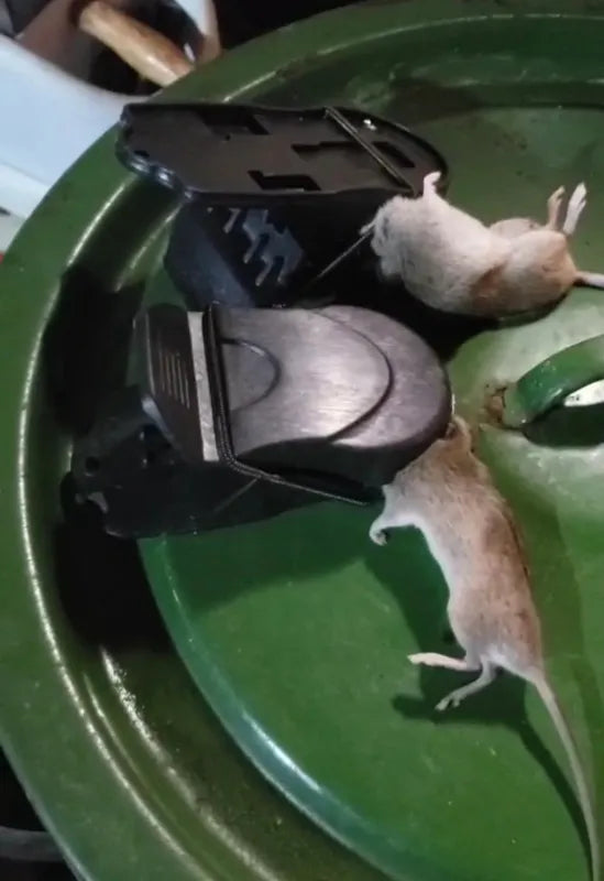 🇪🇸 Trampa para ratones moderna con alta sensibilidad y una fuerza de mordida de 90N