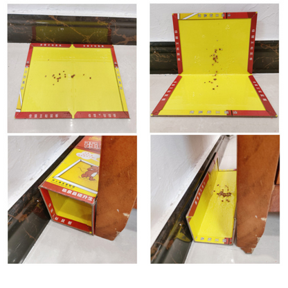 Trampas Adhesivas Profesionales – Extra Grandes para Atrapar Más Rápido