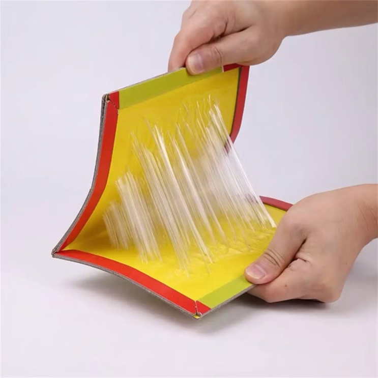 Trampas Adhesivas Profesionales – Extra Grandes para Atrapar Más Rápido