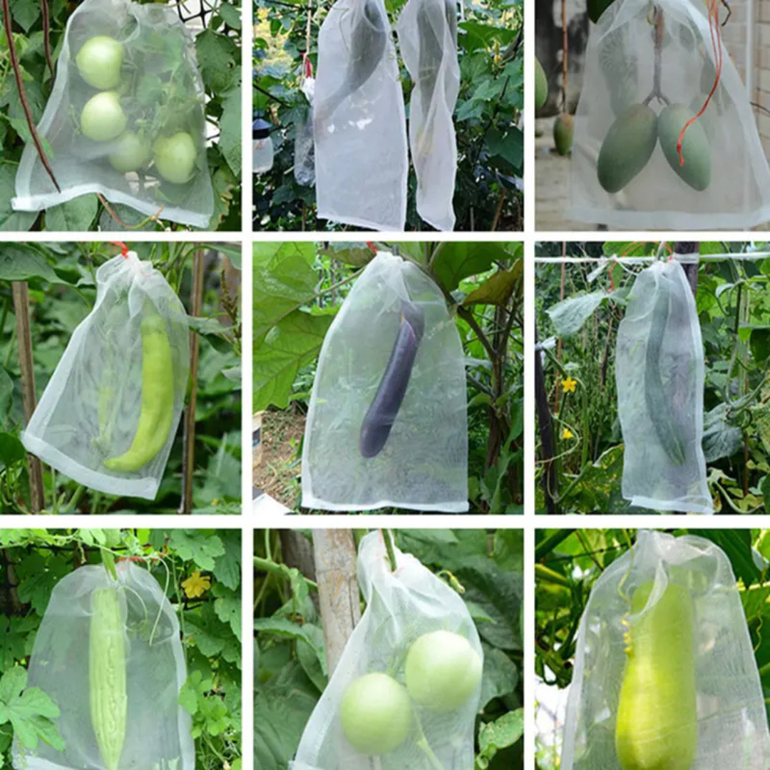 70% DE DESCUENTO | Bolsas de Malla Transpirables y Reutilizables para Proteger Frutas y Verduras – Protección contra Insectos, Moscas de la Fruta y Pájaros