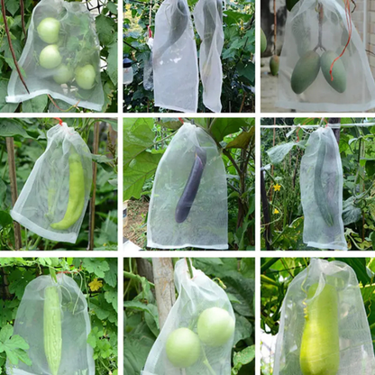 70% DE DESCUENTO | Bolsas de Malla Transpirables y Reutilizables para Proteger Frutas y Verduras – Protección contra Insectos, Moscas de la Fruta y Pájaros