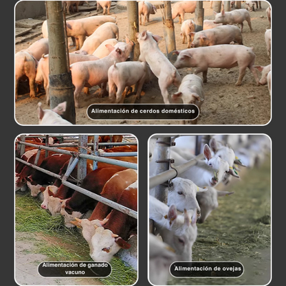 [🎁 Accesorios de instalación gratuitos] Triturador de hierba y verduras para aves y ganado