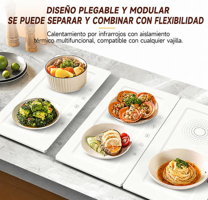 Riscaldatore per alimenti, scongelatore per alimenti, essiccatore per alimenti