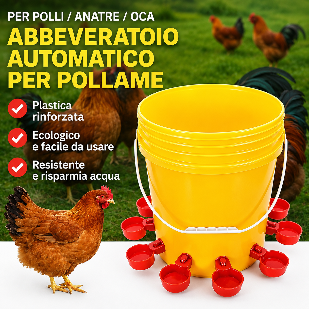 Bebedero automático para aves de corral – Para gallinas, patos, gansos y palomas – Llenado automático, ahorra tiempo y esfuerzo