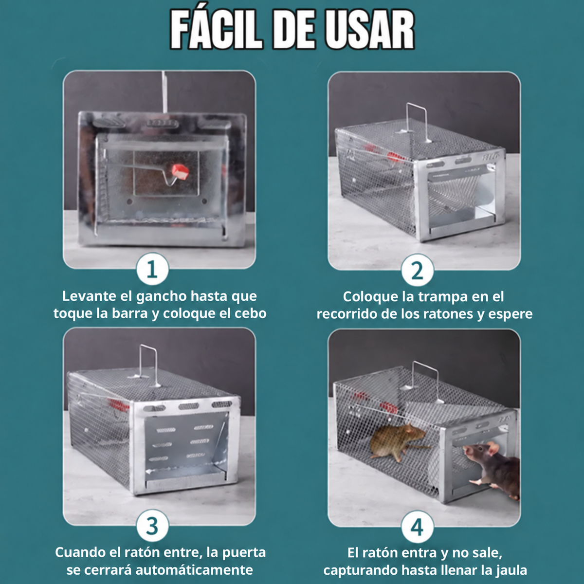 BestSeller™ - Gabbia Trappola Umana Per Topi, Mouse E Scoiattoli Vivi