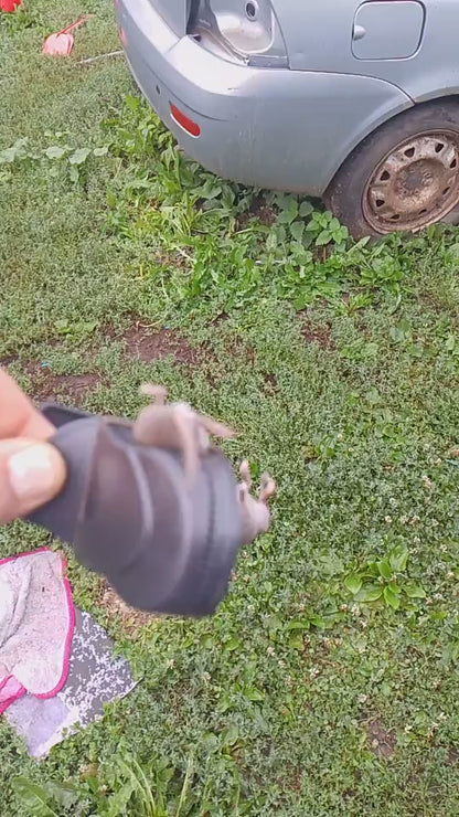 🇪🇸 Trampa para ratones moderna con alta sensibilidad y una fuerza de mordida de 90N